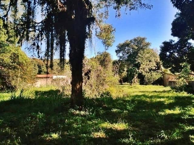 Área para Venda em Maricá - 4