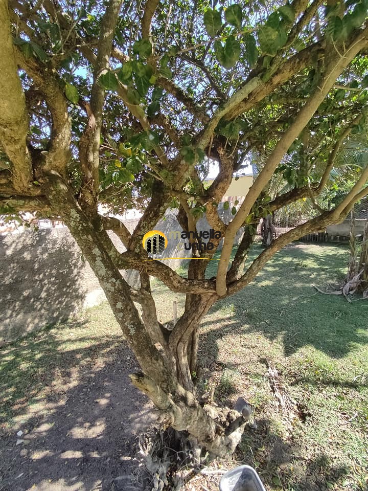 Casa, 3 quartos - Foto 30