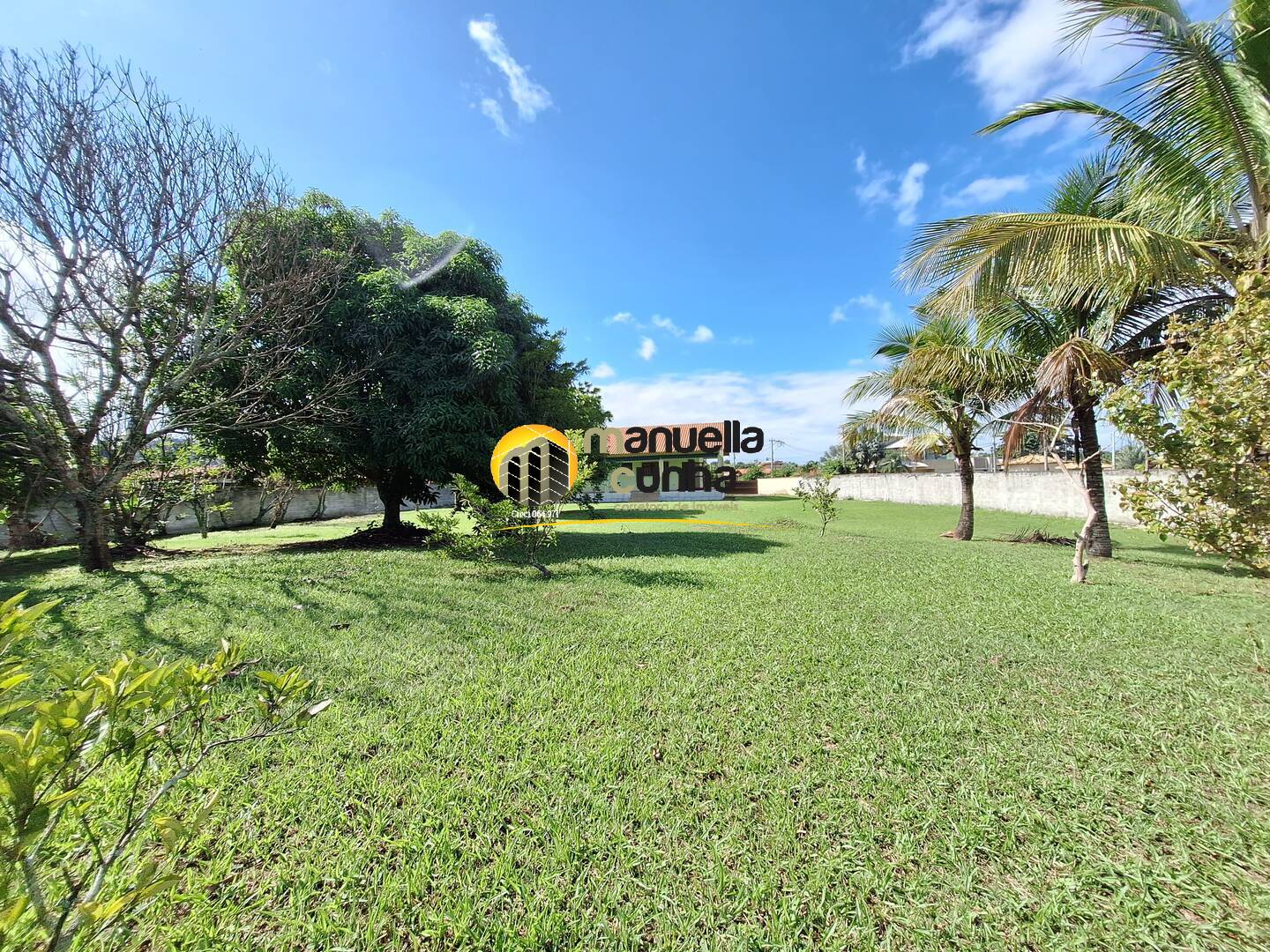 Sítio, 3 quartos, 10000 m² - Foto 6