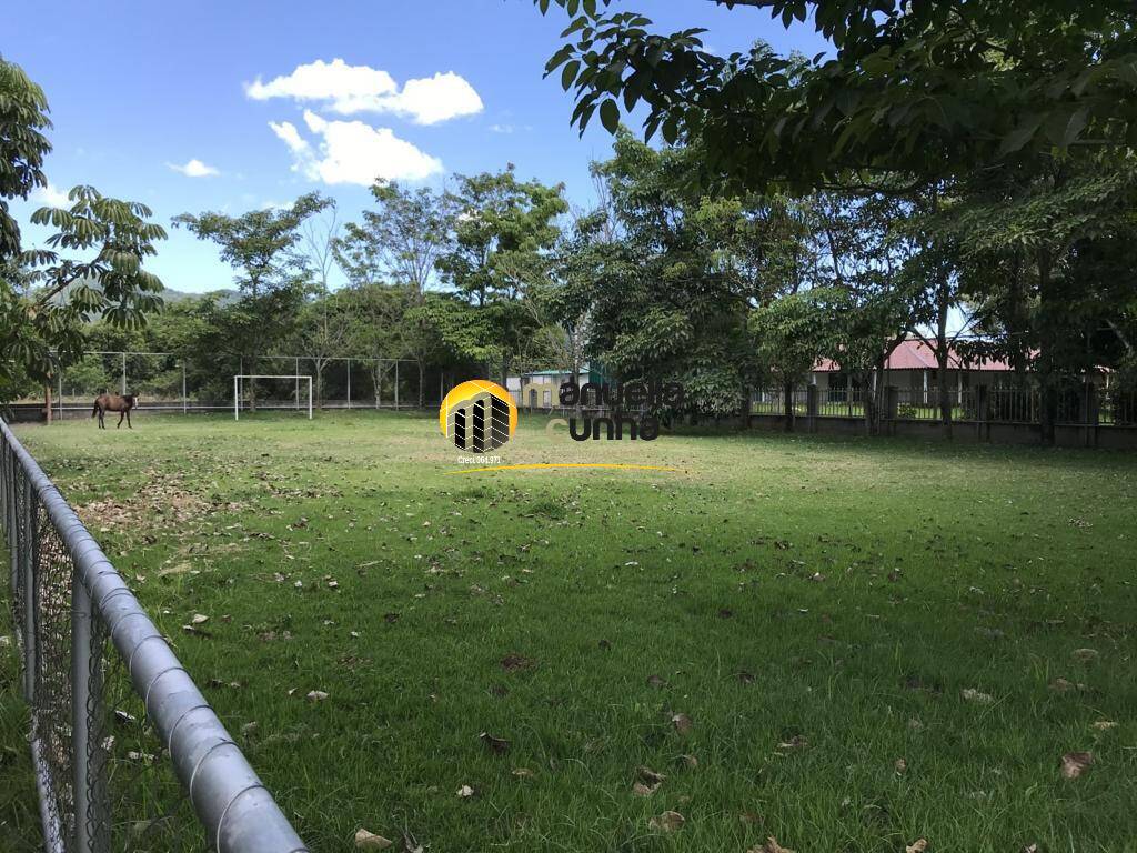 Sítio, 5 quartos, 5000 m² - Foto 17