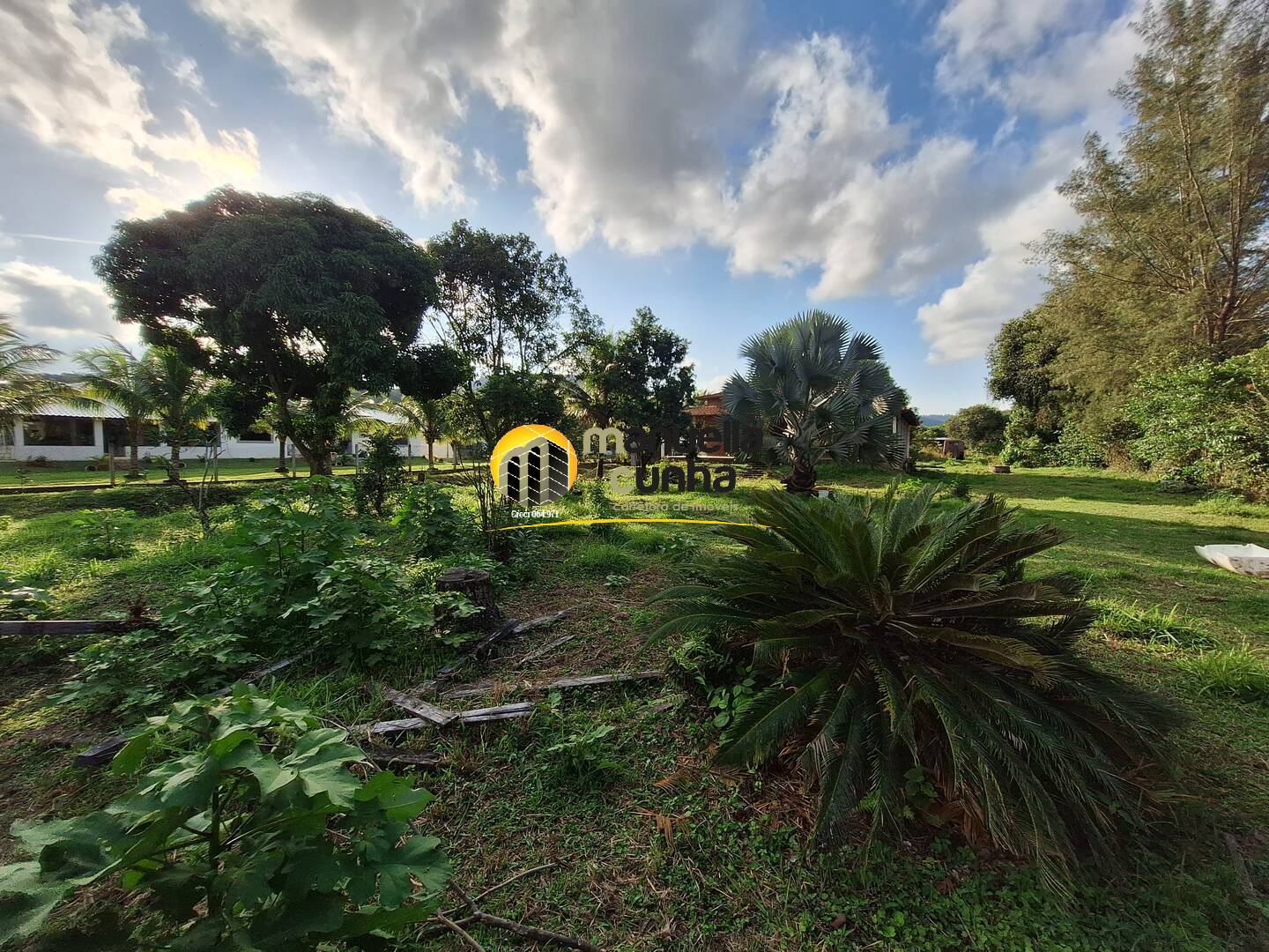 Sítio, 6 quartos, 5 hectares - Foto 18