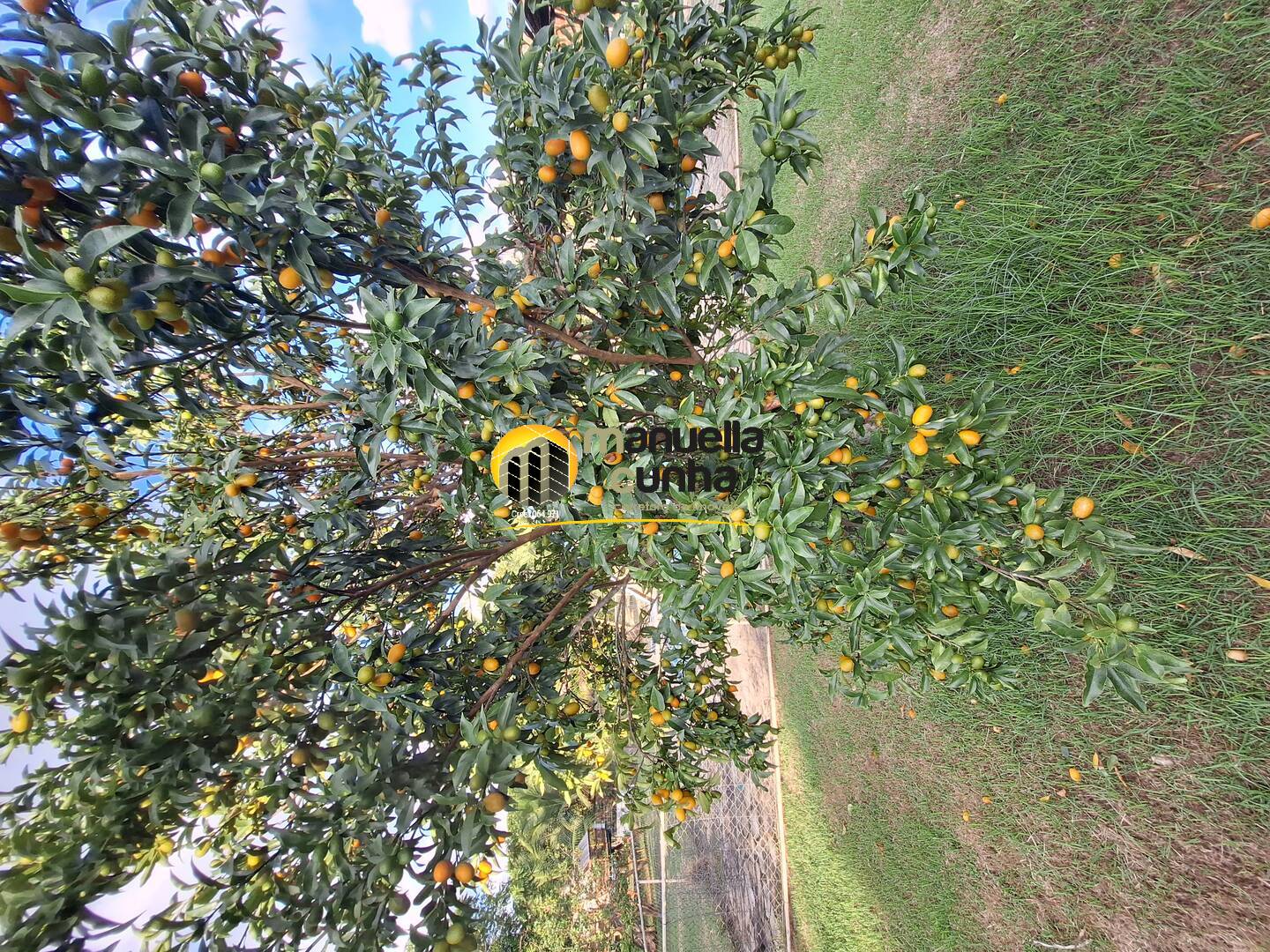 Sítio, 6 quartos, 5 hectares - Foto 33