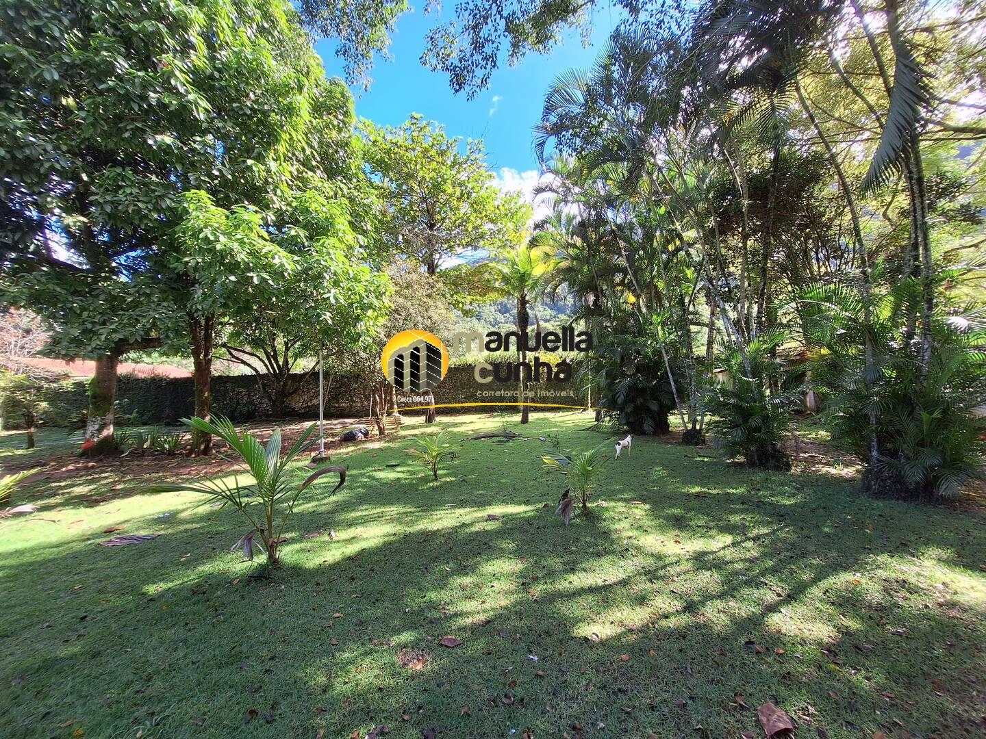 Casa, 8 quartos, 500 m² - Foto 14