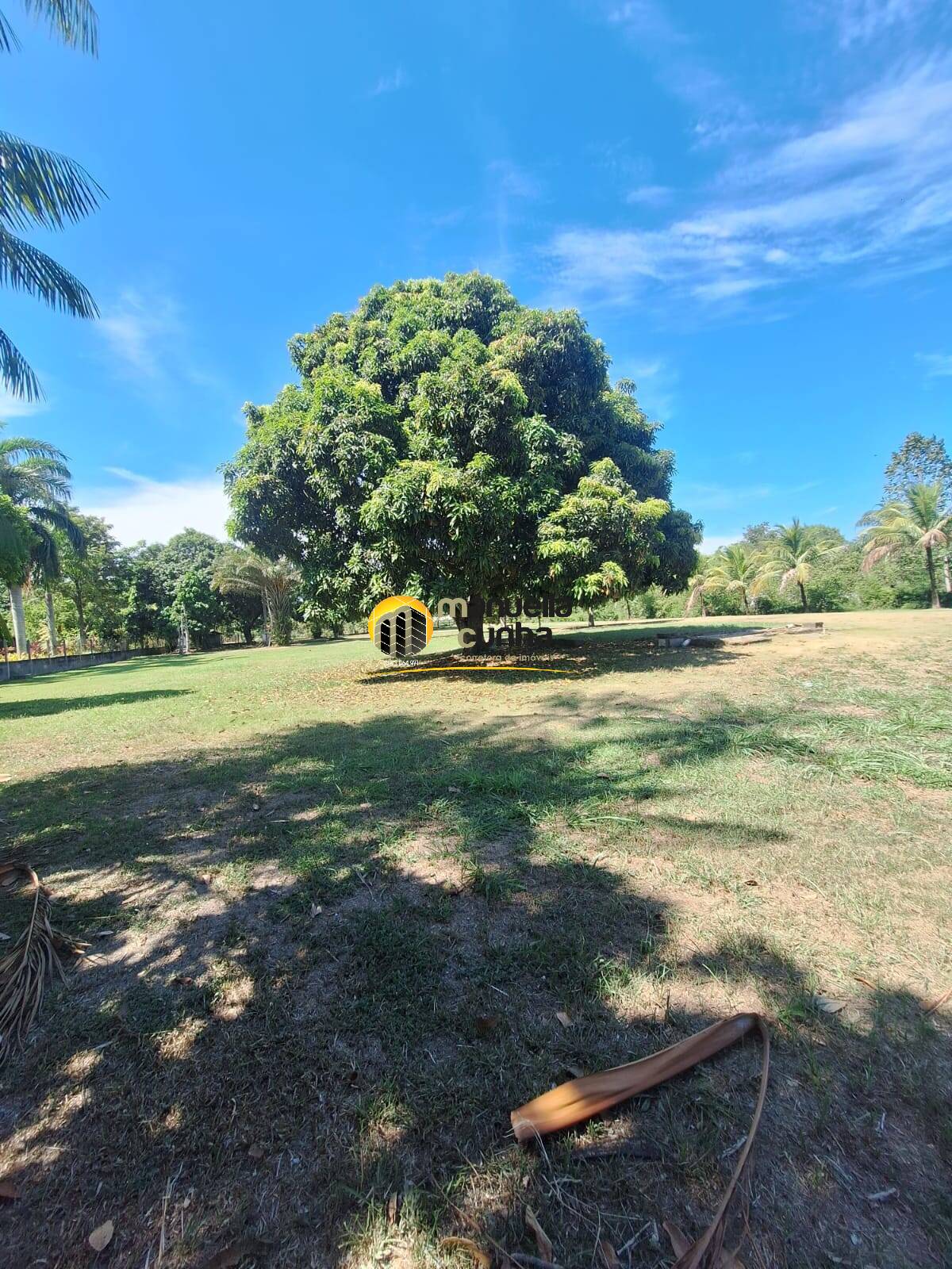 Casa, 4 quartos, 406 m² - Foto 75