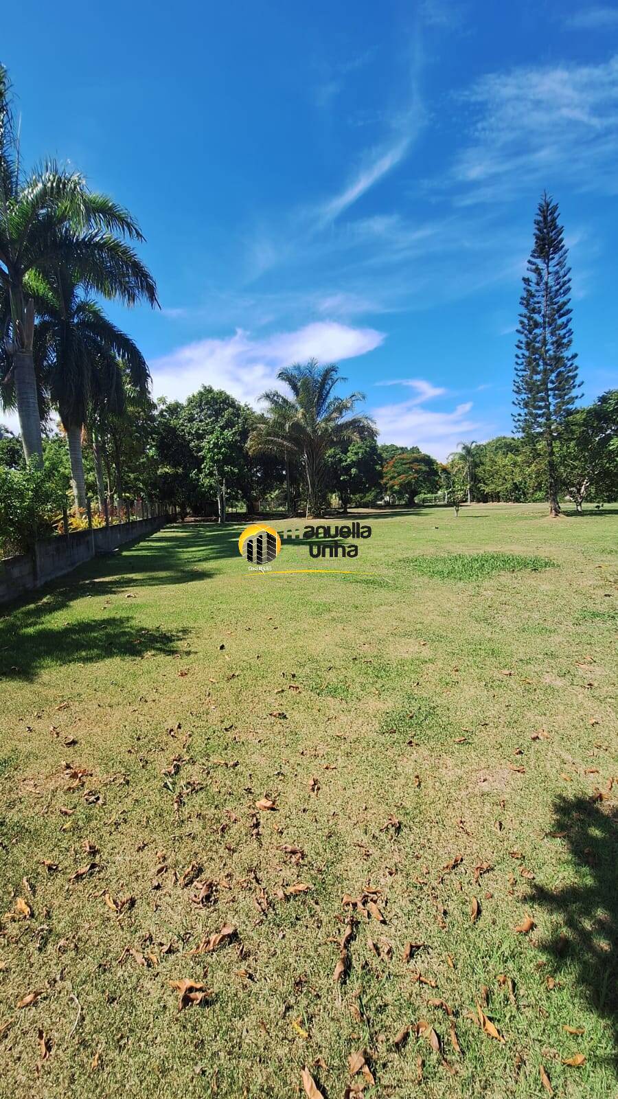 Casa, 4 quartos, 406 m² - Foto 77