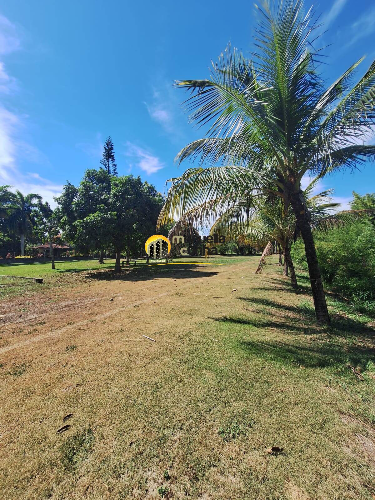 Casa, 4 quartos, 406 m² - Foto 78