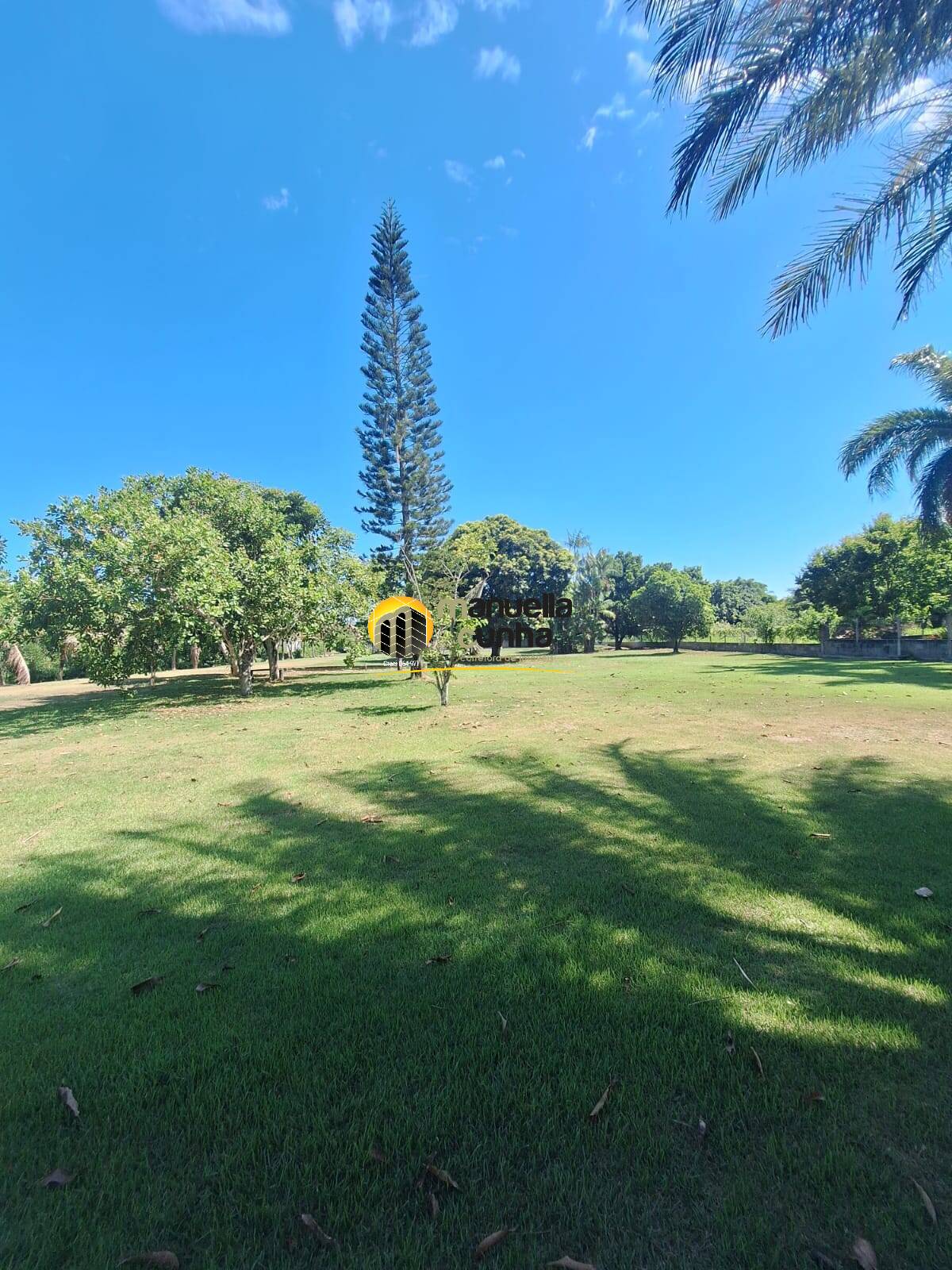 Casa, 4 quartos, 406 m² - Foto 79