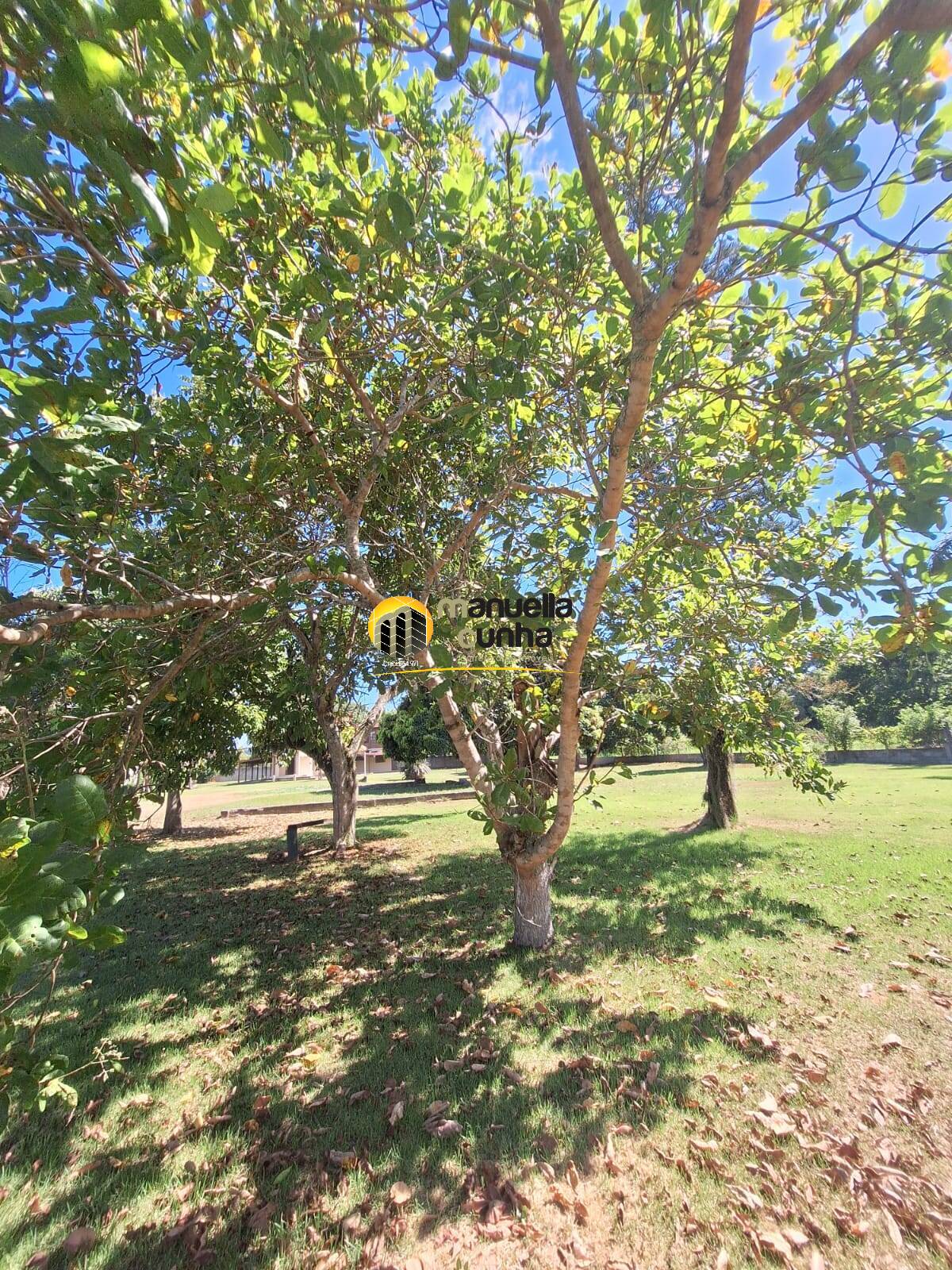 Casa, 4 quartos, 406 m² - Foto 83
