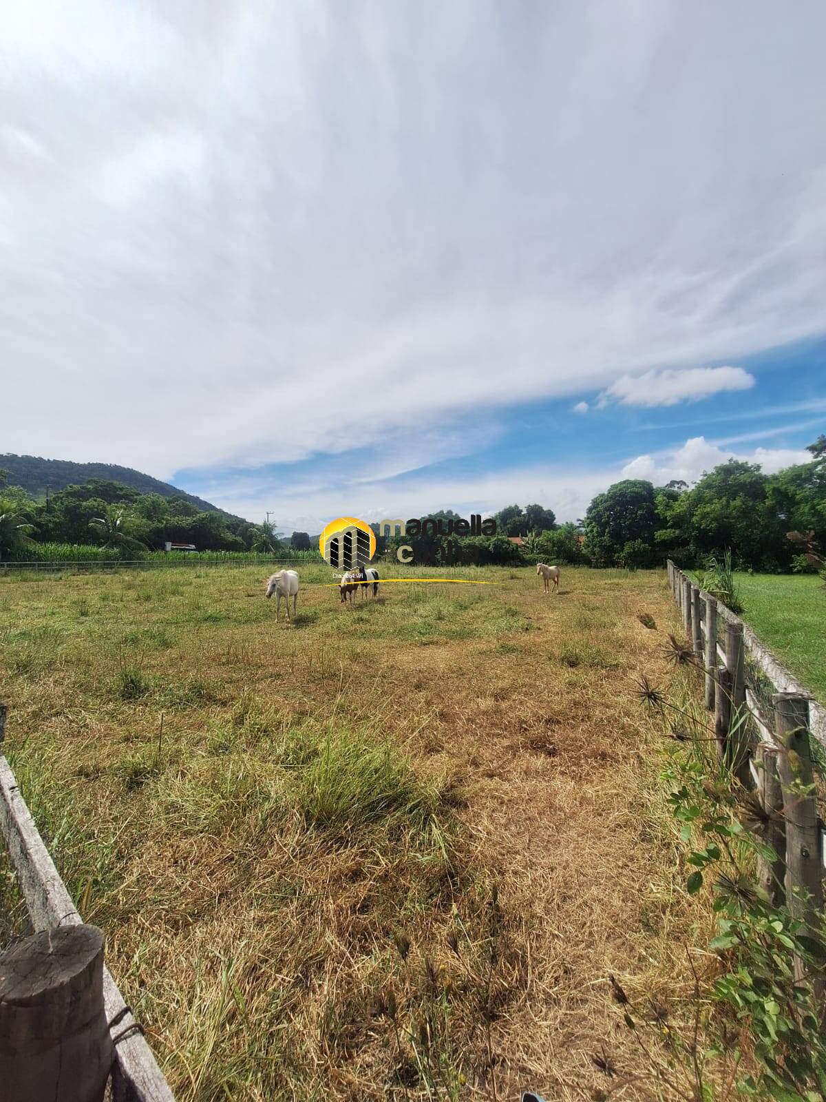 Sítio, 2 quartos, 7265 m² - Foto 30