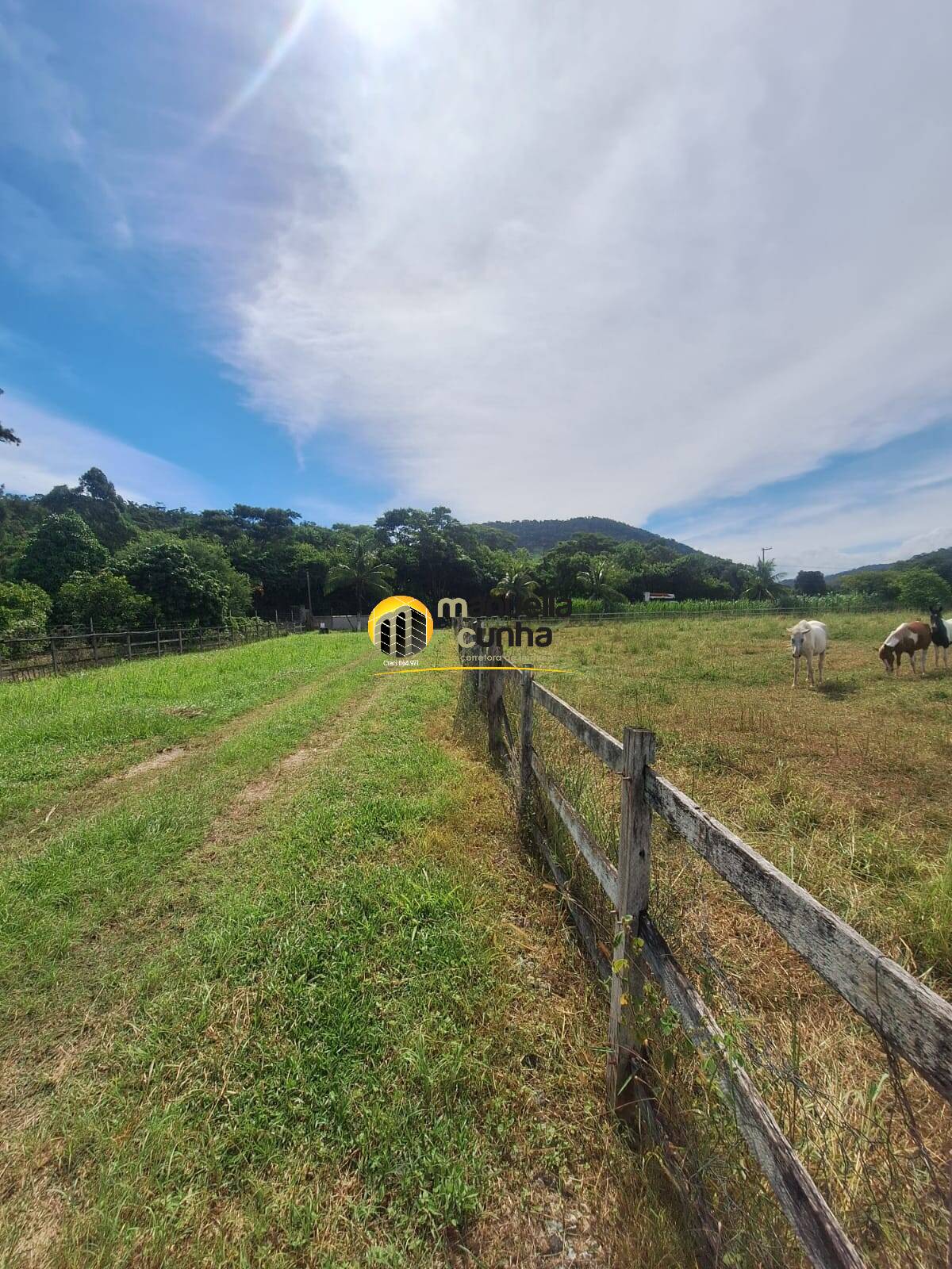 Sítio, 2 quartos, 7265 m² - Foto 6