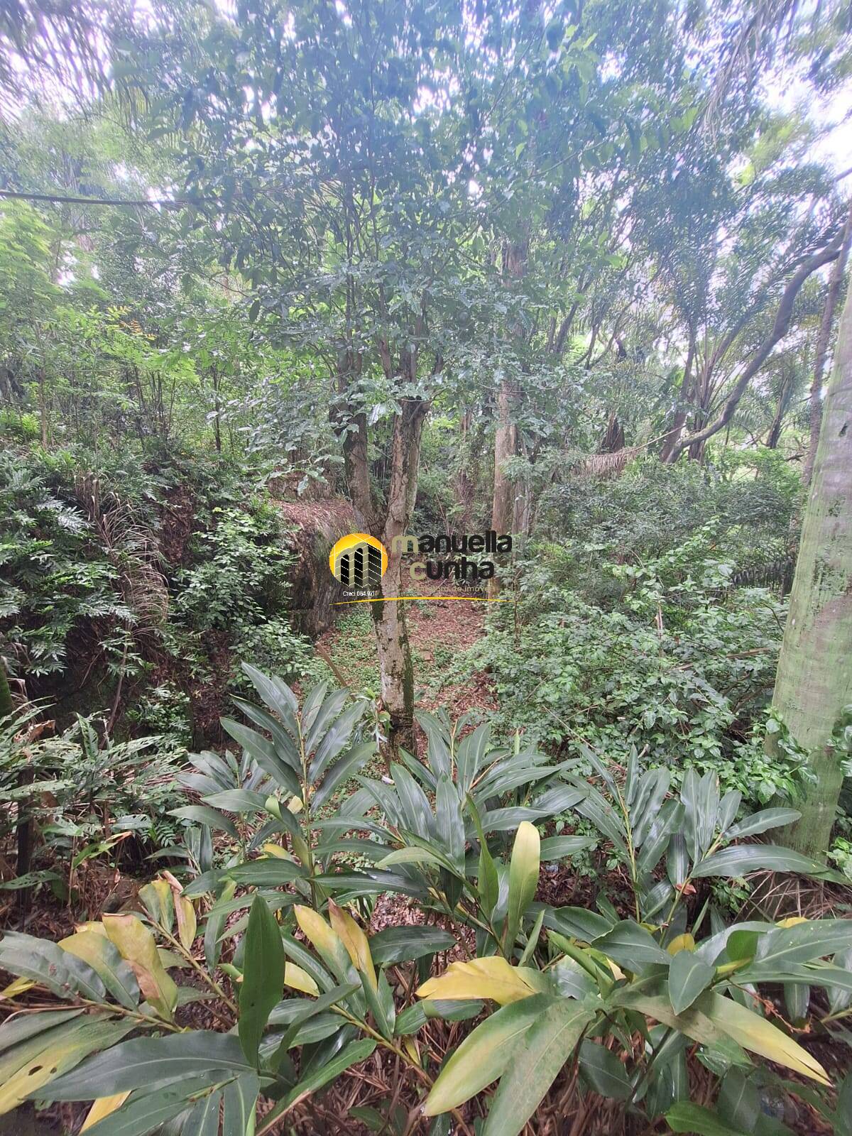 Casa, 2 quartos - Foto 44